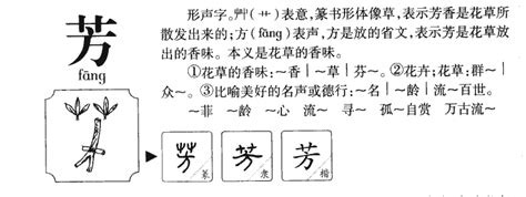 芳字五行|芳字五行属什么